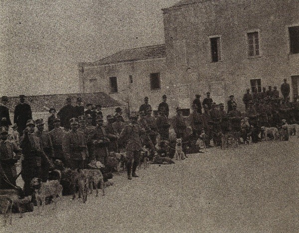 Porto di Cagliari, cani in partenza per la guerra d'Africa_1912