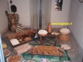 Clicca per igrandire l'immagine